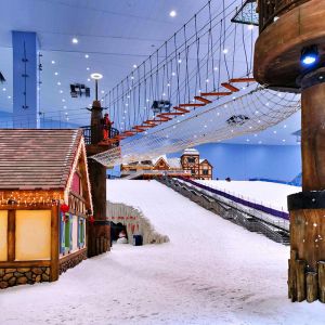 41 KG Daily Output LZ-120 Intelligent Fresh Ice Machine for Commercial Food