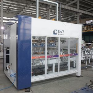 Custom Auto Weighing Filling Production Pack Line Machines