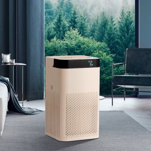 UVC True HEAP Ionic Air Purifier Near by me