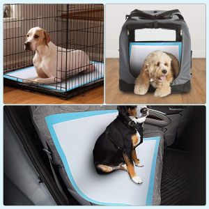 Puppy Training Pet Toilet Pee Pads with Sandia or Sumitomo SAP and Customized