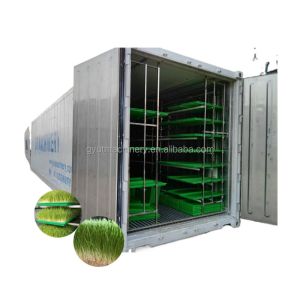 Container Type Wheat Seed and Barley Grass Sprouting Machine for Manufacturing