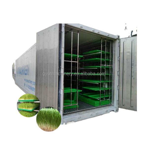 Innovative Hydroponic Feed Growing System for Raising Cattle and Sheep Weight KG