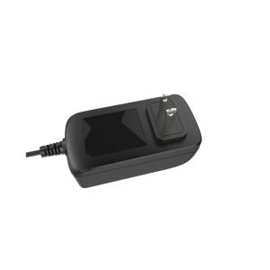 RoHS Certificate Universal Electrical Adapter 12v 3A AC With US Pin