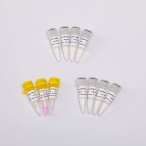 V5001 One Step RNA Rt qPCR Master Mix with ROX