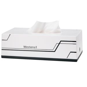 Smooth Faced Large Creative PS Plastic Tissue Box Holder