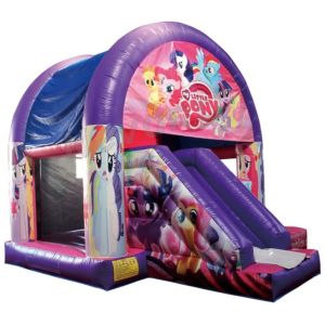 Wholesale Kids' Patrol Carton Hot Inflatable Bouncer Castle Slide Combo for Playful Adventures from china suppliers