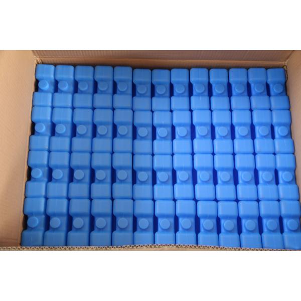 Environment Friendly Insulated Thermal Cooler Ice Packs Frozen Gel Packs ice brick