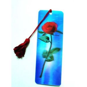 PLASTIC LENTICULAR Animated Morphing zoom Flip 3d Effect Plastic lenticular 3d