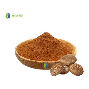 Supplier Dried Shiitake Mushrooms Extract Powder 10%-50% Polysaccharides