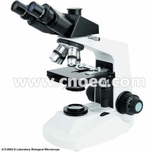 Monocular / Binocular Biological Microscope With Low Position Coaxial Coarse A12