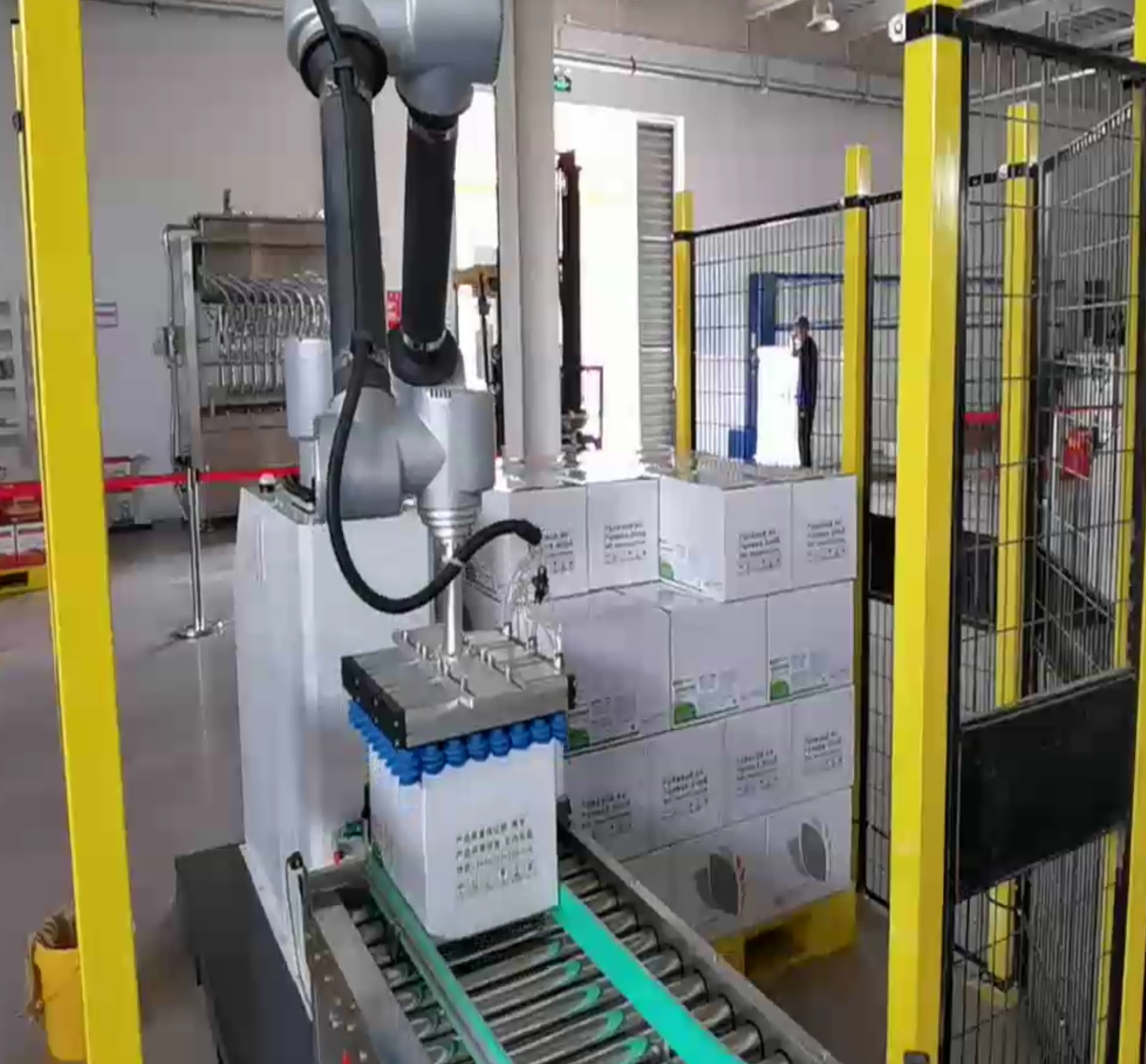 Collaborative Robot Palletizing System High Efficiency Reduce Labor Cost