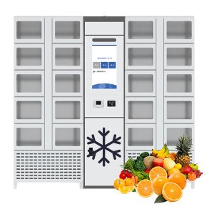 Remote Control Refrigerator Locker