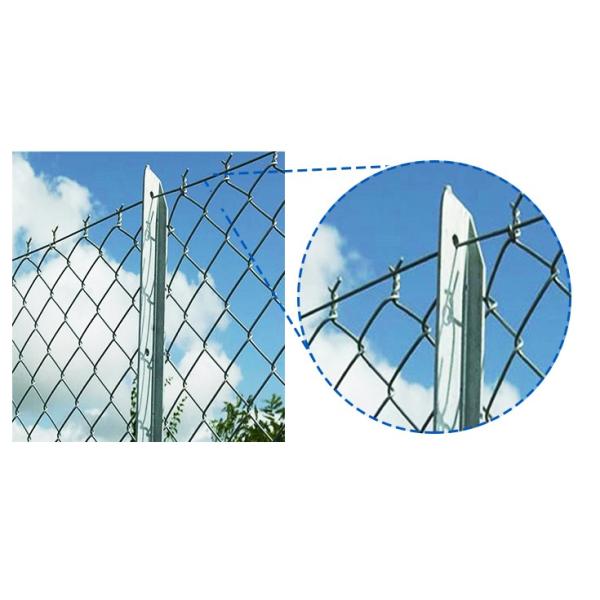 Heavy Duty 5 Green Vinyl Chain Link Fence With 2 Inch Aperture 3 FT Tall