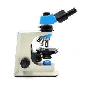 Wholesale A15.2603 Polarizing Light Microscope / Compound Light Microscope Trinocular Illumination from china suppliers