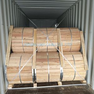 OEM Accepted CCS Wire with 15-70% Conductivity and Enamel Coated Copper Clad