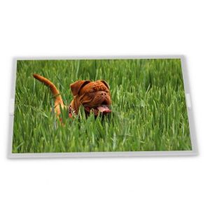 Wholesale ODM Custom 15.0-Inch AA150XW01 Hot Sale LCD Display Module with 1024*768 Resolution IPS TFT LCD Panel with LVDS Interface New from china suppliers