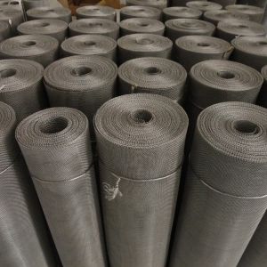 Wholesale High Strength Stainless Steel Bug Screen 8mesh-12mesh Powder Coated from china suppliers