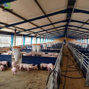 Prefabricated Agriculture Automated Poultry House Steel Structure Building