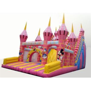 Commercial PVC Tarpaulin Inflatable Theme Park With Double Slide Combo