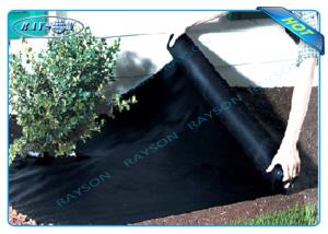 Wholesale Black Agriculture Non Woven Cover For Healthy Growth from china suppliers