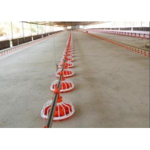 20 Birds/M² 300g Automatic Pan Feeding System