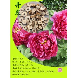 Buy cheap New Arrival 98% paeoniflorin chinese herbaceous peony extract powder from wholesalers