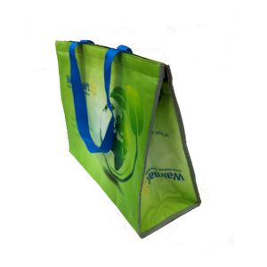 Freuni OEM Production SGS, Sedex Approved PP Non Wove cooler bag with Logo