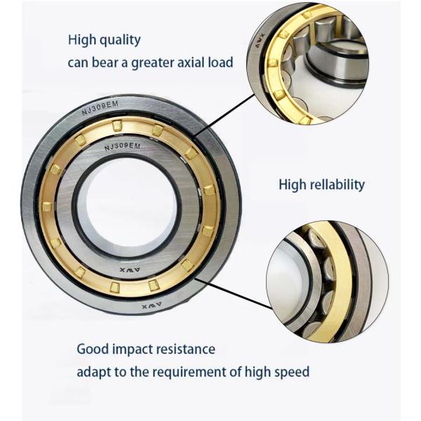 Brass Cage Material Full Complement Cylindrical Roller Bearings NJ2226E NJ2227E For High Precision Applications