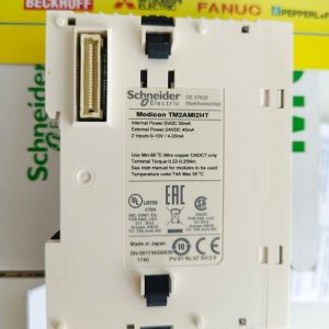 TM2AMI2HT Schneider Analog input module, Modicon M238 logic controller, 2 inputs