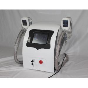 Portable two Handles Cryolipolysis Slimming Machine , Body Sculpting Machine