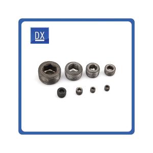 OEM Screw Head Plug , Auto Engine Oil Pan Drain Plug