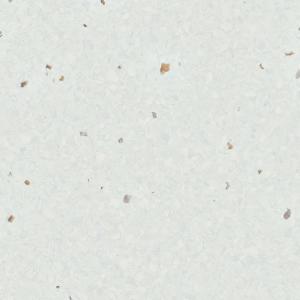 3.0mm Thickness Homogeneous Flooring Sustainable High Stain Resistance