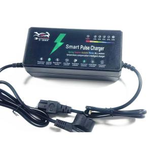 Advanced Technology 48V20Ah Lead Acid Battery Charger for Electric Vehicle E