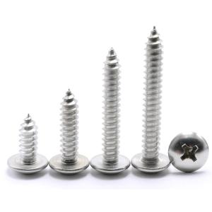 Galvanized Finish Stainless Steel Self Tapping Screw M1.2 M1.4 M1.7 M2 M2.3 M2.6