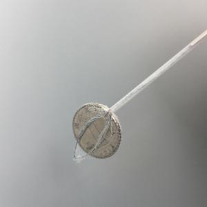 Endoscopic Disposable loop net for foreign body retrieval