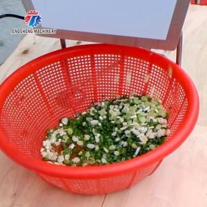 0.375KW Vegetable Processing Machine Desktop Leeks Cutter
