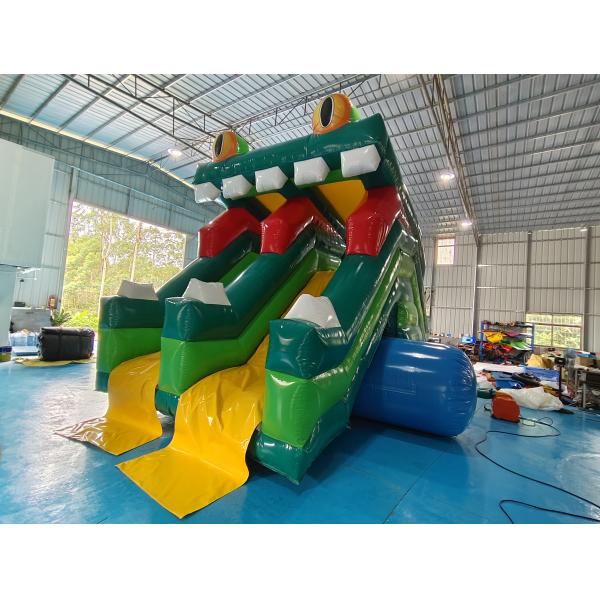 New Design Inflatable Slide Frog Figure Inflatable High Double Slides Dry Slide