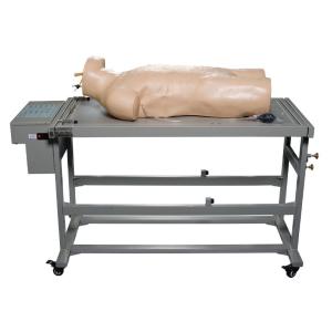 Comprehensive Puncture Clinical Simulation Various Postions for Hospitals Training