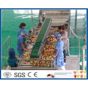 CE Apple Processing Line with Automatic Disinfection Liquid Concentration