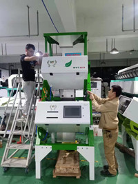 Tea Color Sorter With Japan Toshiba Optical CCD Sensor