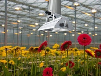 Quality 1000 Watt Indoor Garden Grow Lights With 6 - Phase Manual Dimming Function for sale