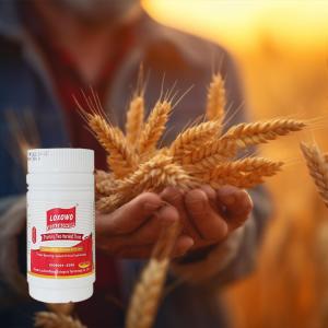 Hydroponics Water Soluble Organic Vegetable Fertilizer With Advanced Nutrients