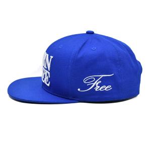 BSCI Factory Custom Hat Snapback 3d Embroidery Snap Back Caps
