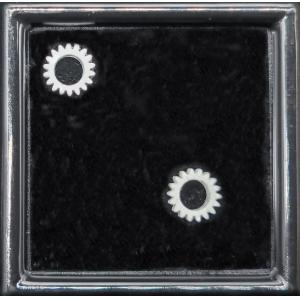 High Precious Micro Nano 3D Printer For Science Prismlab