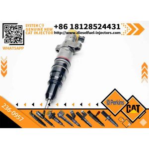 China 557-7637Diesel Injectors for Caterpillar C9 Engines 387-9432 387-9433 254-4340 20R-8062 236-0957 C9 Injectors 387-9434 on sale