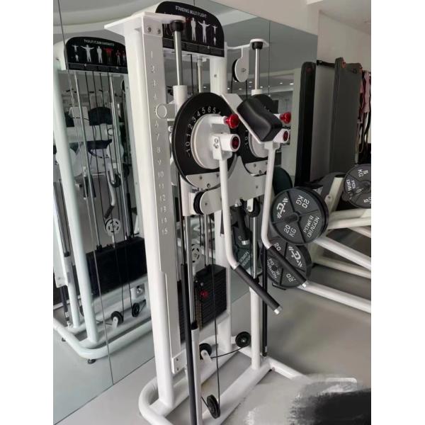 Multi Function Gym Equipment for Shoulder Press Back Extension and Standing Lateral Raise