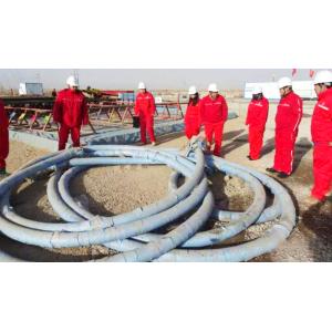 Wholesale Temp Class Oil Well Drilling Hose Fire Resistant Nominal Diameter 8mm-400mm with Hexagon Head Code from china suppliers