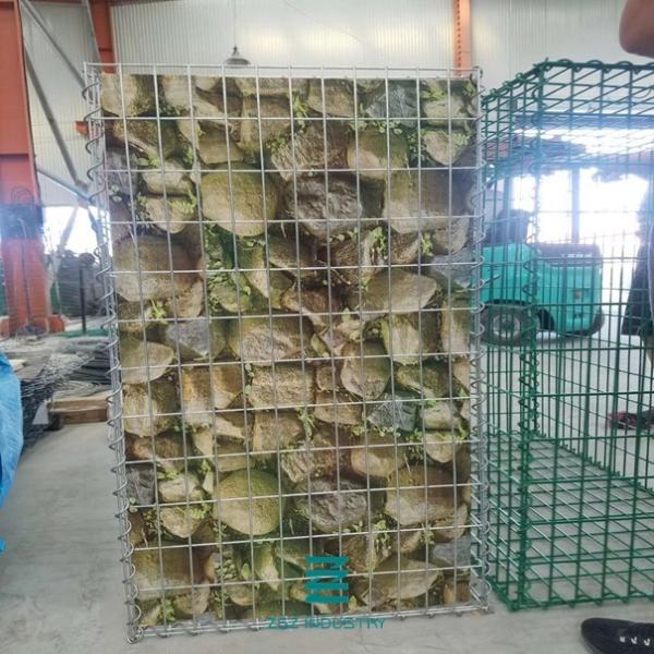 Quality Silver Color Welded Wire Fence Roll Sheep Mesh Roll For Gabion Box ISO9001 for sale