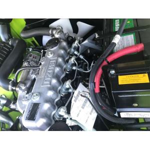 Customer Customized 3ton Forklift Sale with Solid Tire Options