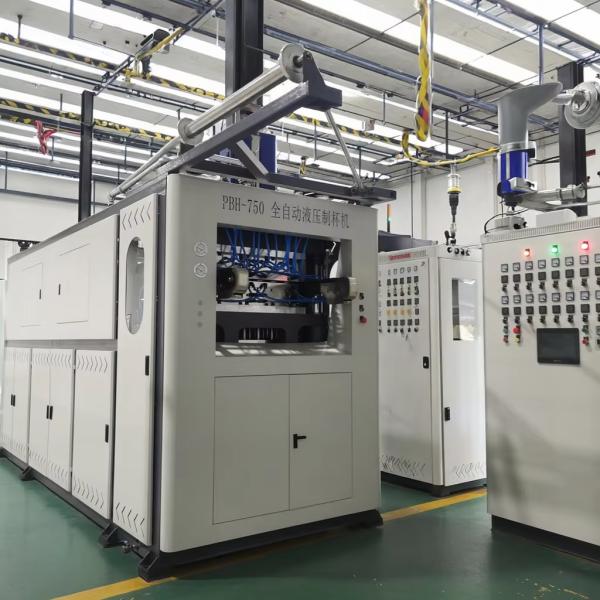 Fully Automatic Plastic Thermoforming Machine For Disposable Plastic Cup Plastic Pizza Box Biscuit Box Cake Box
